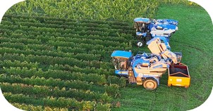 Film d'entreprise par drone